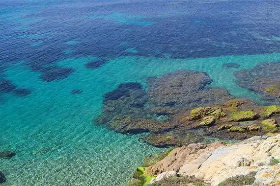 decouverte de cavalaire sur mer un joyau cache de la cote mediterraneenne 2