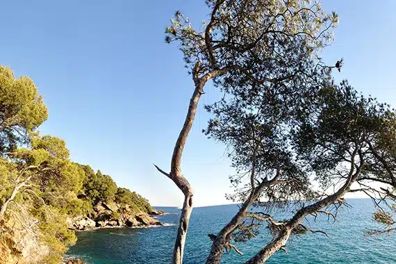 decouverte de cavalaire sur mer un joyau cache de la cote mediterraneenne 3